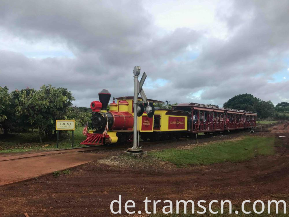 Aloha Express Train 1